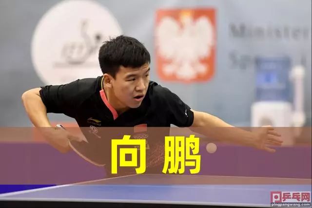 区命中率